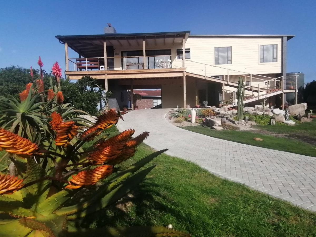 Villa A Real Gem In Cape St Francis Cape St. Francis Exterior foto
